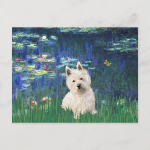 Lilien 5 - Westie 1 Postkarte