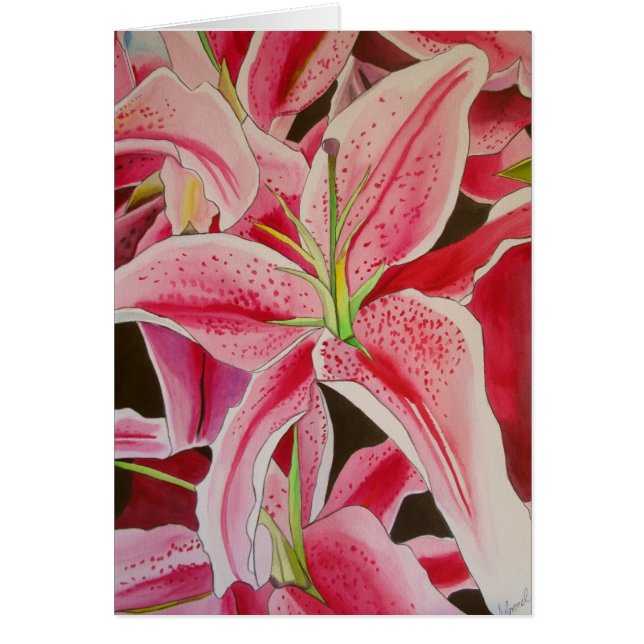 Lilien-Aquarell-Vorlagenkunst des Stargazer rosa (Vorne)