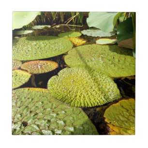 Lilien-Auflage-Keramik-Fliese Fliese