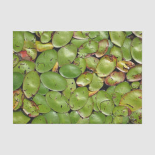 Lilien-Auflagen Seidenpapier