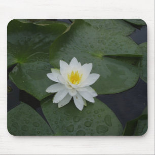 Lilien-Blume in den Lilien-Auflagen Mousepad