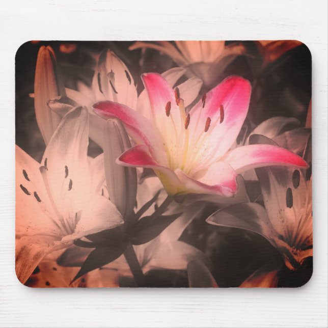 Lilien-Blume Vintag Schwarz-Weiß Mousepad (Vorne)