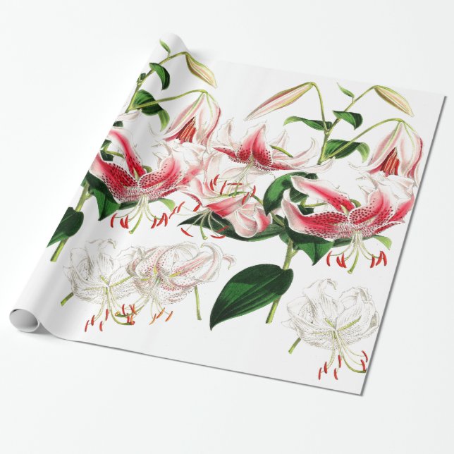 Lilien-Blumen-Verpackungs-Papier Geschenkpapier (Ungerollt)