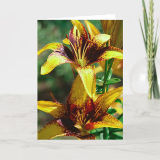 Lilien der Felder Karte