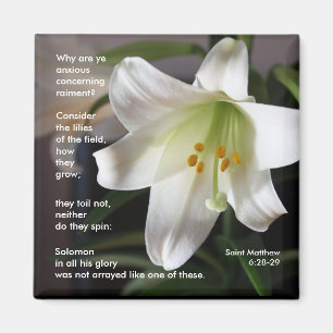 Lilien des Feldes - Magnet