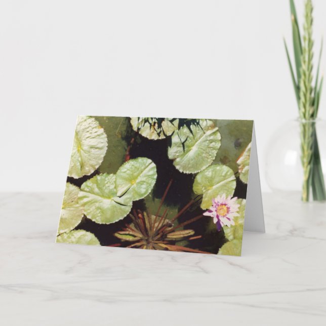 Lilien des Wassers 02 Karte (Vorderseite)