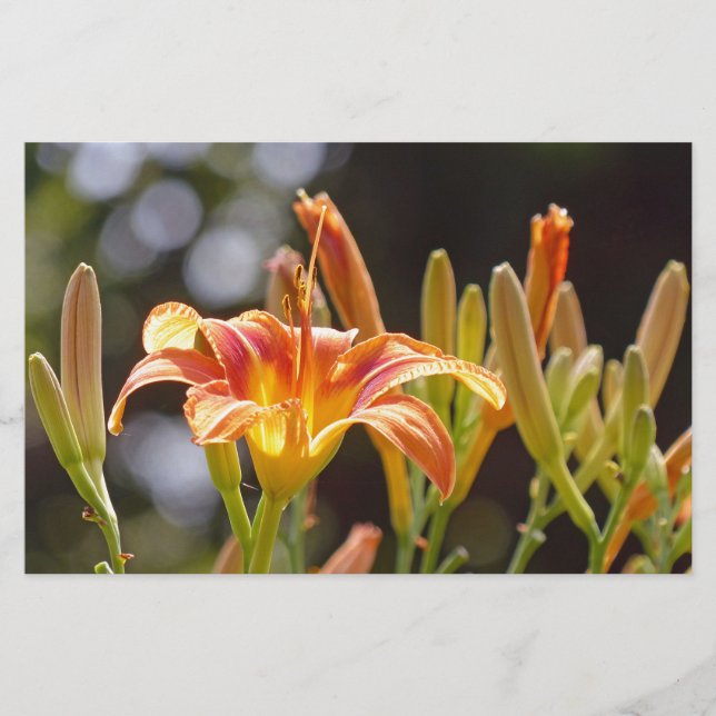 Lilien in der Sonne Briefpapier (Vorderseite)