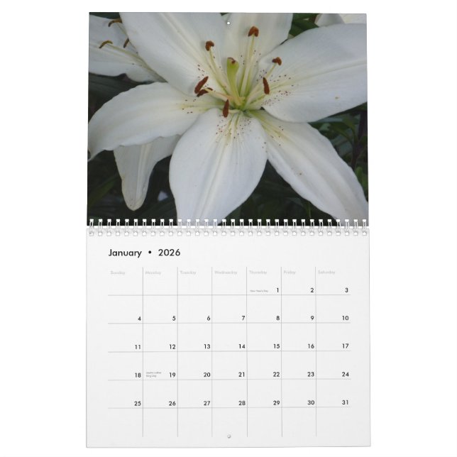 Lilien - Kalender 2014 (Jan 2026)
