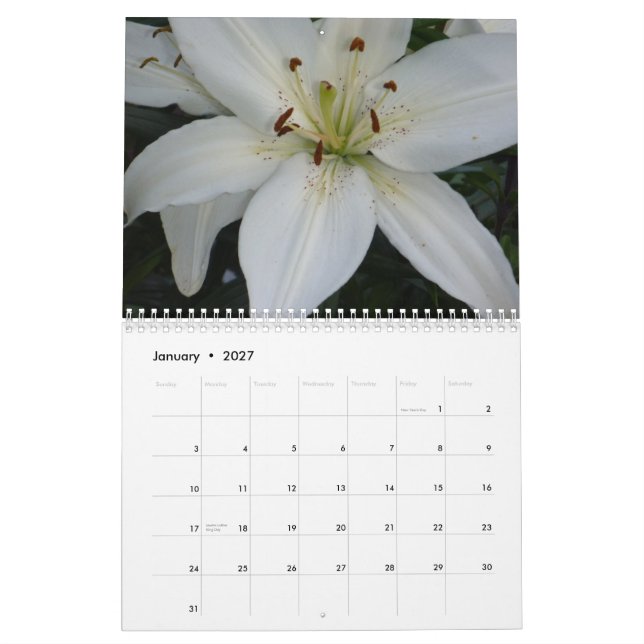 Lilien - Kalender 2014 (Jan 2027)
