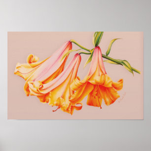 "Lilien" Kunstdruck eines botanischen Posters Poster