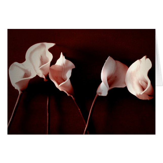 Lilien-Liebe (Vorderseite (Horizontal))