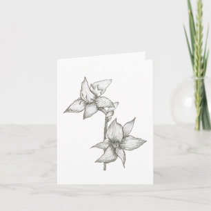Lilien Notizkarte Karte