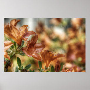 Lilien-Plakat Poster