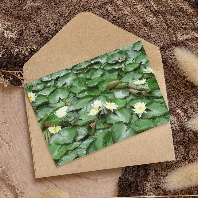 Lilien Postkarte (Von Creator hochgeladen)