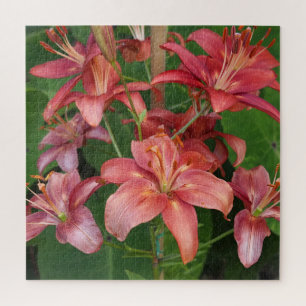 Lilien Puzzle