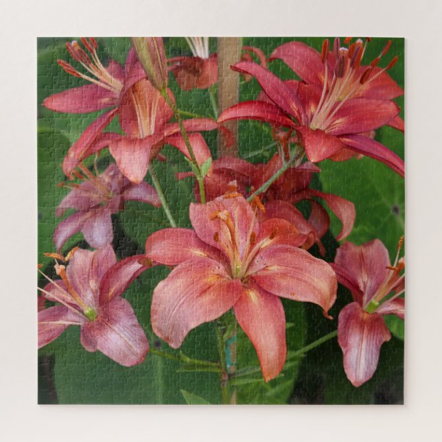 Lilien Puzzle (Vertikal)