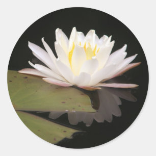 Lilien Runder Aufkleber