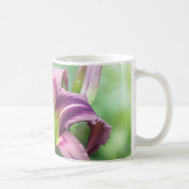 Lilien-Stern - Taglilie Tasse