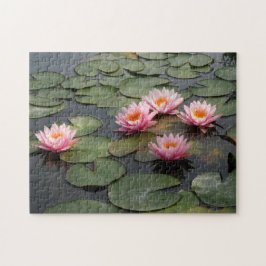 Lilien Teich Puzzle