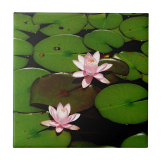 Lilienwasser-Blume Fliese