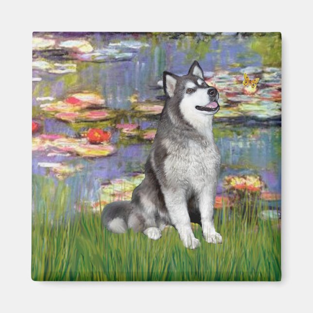 Lilies 2 - Alaskan Malamute Magnet (Vorne)