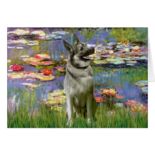 Lilies 2 - Norwegischer Elkhound