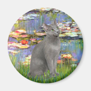 Lilies 2 - Russische Blaue Katze Magnet
