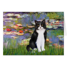 Lilies 2 - Schwarze und Weiße Katze