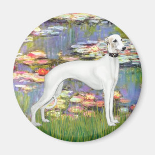 Lilies 2 - White Whippet (11b) Magnet