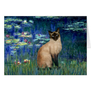 Lilies 5 - Siegel Point Siamese cat