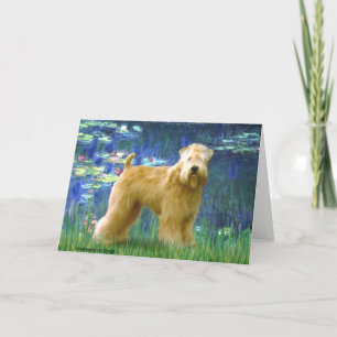 Lilies 5 - Wheaten Terrier (Stand) Karte