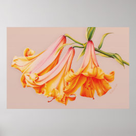 "Lilies" Billardposter-Druck Poster
