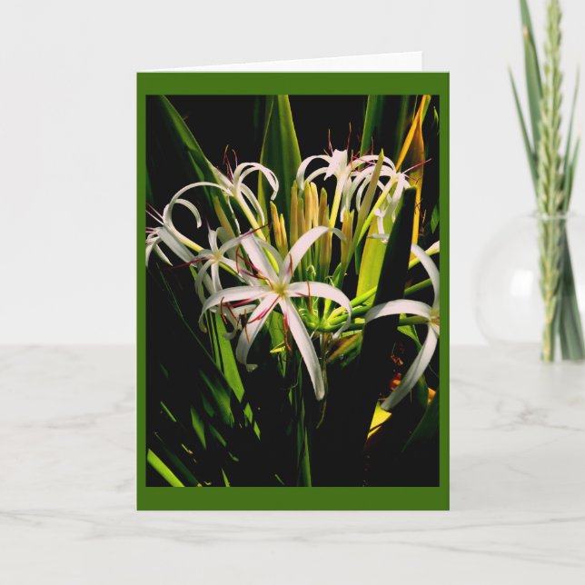 Lilies Greeting Card Karte (Vorderseite)