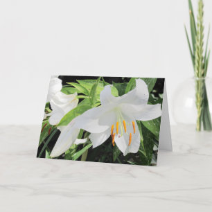 Lilies Greeting Card Karte