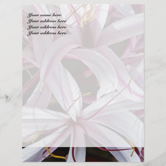 Lilies Letterhead Design Briefkopf (Vorderseite)