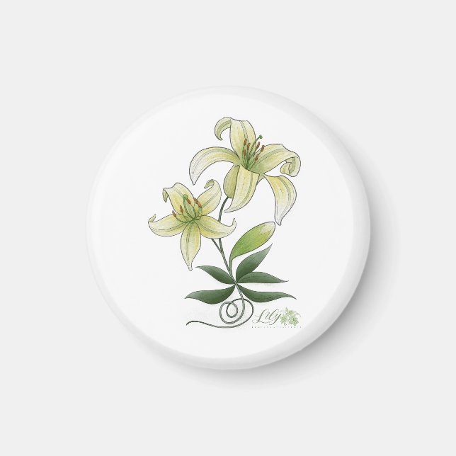 Lilies Magnet (Vorne)