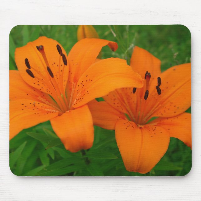 Lilies Mousepad (Vorne)