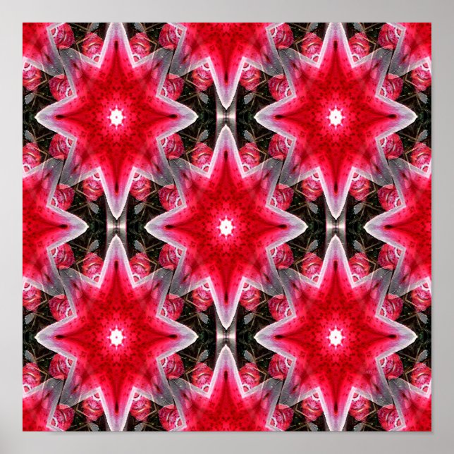 Lilies...... Poster (Vorne)