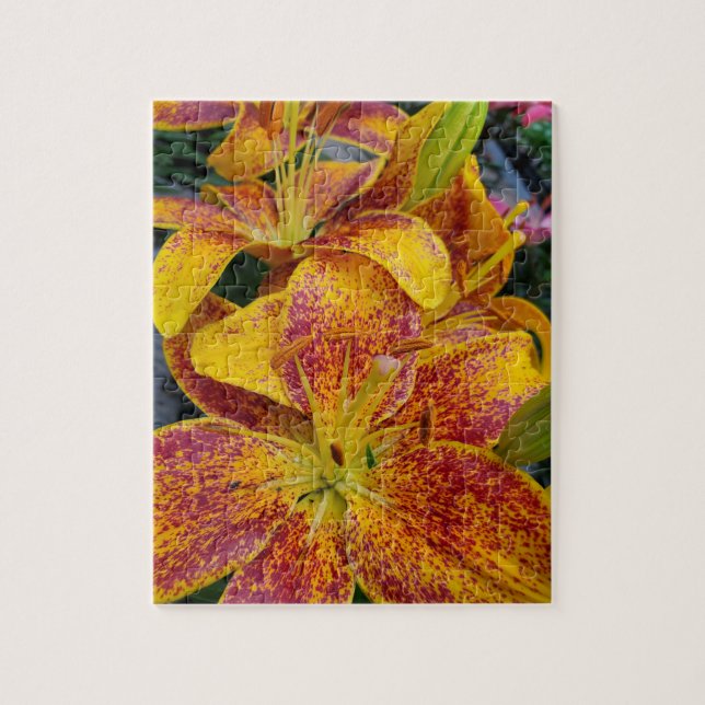 Lilies Puzzle (Vertikal)