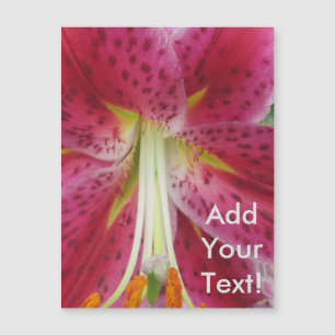 Liliestargazer-lila Blume Magnetkarte