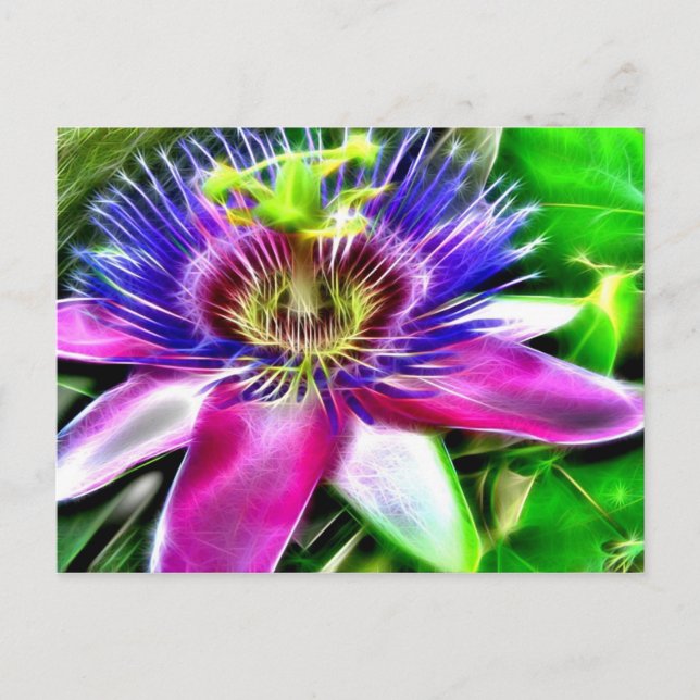 Lilikoi oder Passion-Blume Postkarte (Vorderseite)