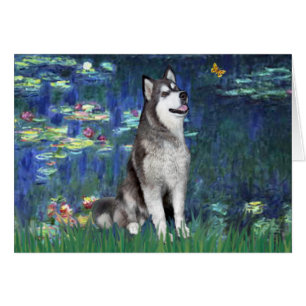 Lililes #5 - Alaskan Malamute