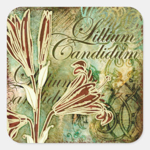 Lilium Candidum Quadratischer Aufkleber