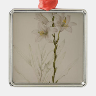 Lilium Candidum, von "Les Liliacees", 1807 Ornament Aus Metall