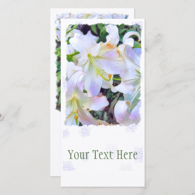 Lilium "Casa Blanca"[Pauschalreisekarte] Ankündigung (Vorne/Hinten)