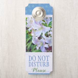 Lilium "Casa Blanca"[Schild von Doorknob] Türanhänger