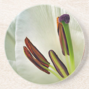 Lilium Oriental White Getränkeuntersetzer