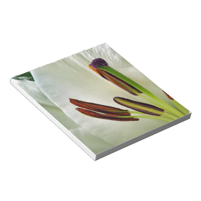 Lilium Oriental White Notizblock (angewinkelt)