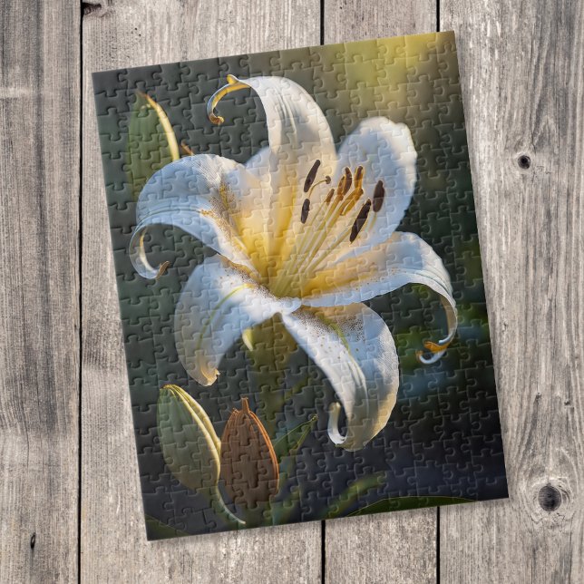 Lilium Puzzle (Von Creator hochgeladen)
