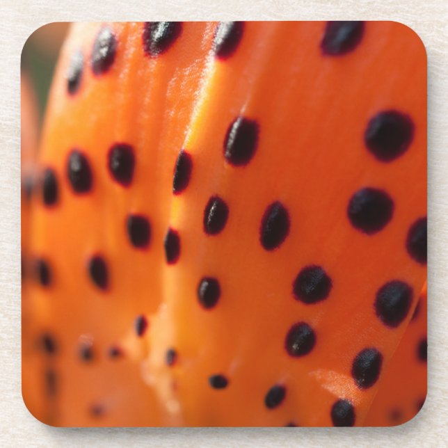 Lilium superbum, Turk's Cap Lily Getränkeuntersetzer (Vorderseite)